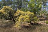 20 Governors Point - Photo 21