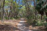 20 Governors Point - Photo 74