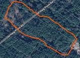293 Old Haig Point Road - Photo 3
