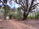 33 Pearl Harbour Drive - Photo 4