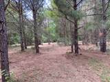 41 Pearl Harbor Lane - Photo 4