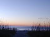 5 Bald Eagle Road - Photo 34