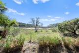 4 Bent Tree Lane - Photo 53