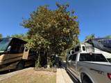 43 Jenkins Island - Photo 5