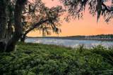 25 Seagrass Landing Court - Photo 3