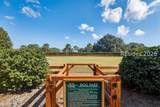 9 Loblolly Lane - Photo 61