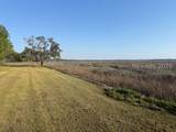 23A Colony Gardens Road - Photo 52