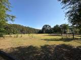 113 Cherokee Farms Road - Photo 12