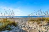 21 Forest Beach Drive - Photo 44