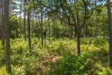 77 Lupine Road - Photo 16