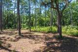 77 Lupine Road - Photo 24