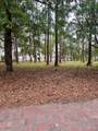 36 Red Knot Road - Photo 3