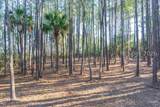 509 Pinckney Colony Road - Photo 20
