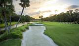 40 Night Heron Lane - Photo 38