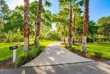 2 Turnstone Drive - Photo 3