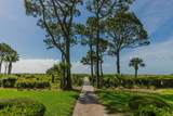 31 Forest Beach - Photo 34