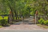 150 Palmetto Bluff Road - Photo 5