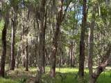 102 Primrose Lane - Photo 1