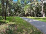 102 Primrose Lane - Photo 4