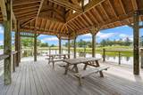 707 Wiregrass Way - Photo 47