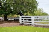 91 Great Heron Way - Photo 46