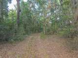 39 Creek House Lane - Photo 14