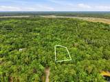 66 Bull Point Drive - Photo 2