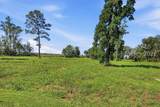 1155 Bridle Path Boulevard - Photo 4