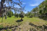 1155 Bridle Path Boulevard - Photo 9