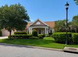 31 Spring Beauty Drive - Photo 29