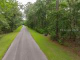10 Barnaby Bluff - Photo 11