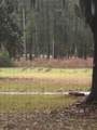 8 Volunteers Ridge - Photo 34