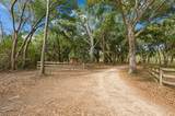 71 Tropicana Road - Photo 14