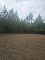 tbd Firetower Rd, - Photo 20