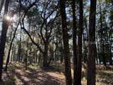6008 Green Pond Drive - Photo 1