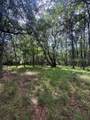5 Stoddard Court - Photo 1