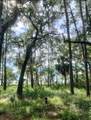 264 Cassique Creek Drive - Photo 3