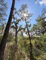264 Cassique Creek Drive - Photo 4