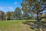 8 Pinckney View Circle - Photo 7