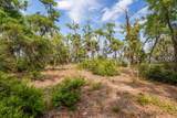 230 Old Plantation Drive - Photo 10