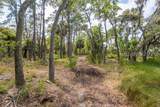 230 Old Plantation Drive - Photo 9