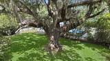 42 Roseida Road Extension - Photo 40