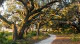43 Spiderlily Street - Photo 2