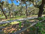 1403 Newcastle Street - Photo 6
