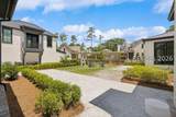 24 Butterweed Road - Photo 57