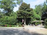 133 Arrow Road - Photo 13