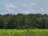 TBD Toomerville Loop - Photo 1