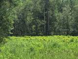 TBD Toomerville Loop - Photo 2