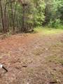 TBD Toomerville Loop - Photo 4