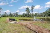 16 Rivulet Street - Photo 30